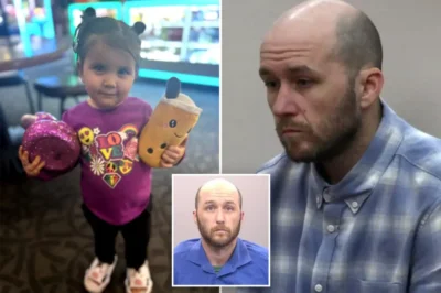 Blackout-Drunk Dad’s Chilling Confession: “I Blacked Out and Left My Baby to Burn” – Ohio Court Hears Heart-Wrenching Plea from Grieving Mom as Nicholas Stemen Faces Life in Prison for Daughter’s Fiery Death
