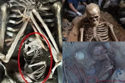Shocking Uncovering of Pregnant Egyptian Mummy’s Tomb Raises Haunting Questions About Ancient Afterlife Beliefs