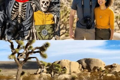 Joshua Tree Nightmare Unearthed: Skeletal Remains of Missing Couple Reveal Chilling Film of Desert Madness After 15-Year Hunt