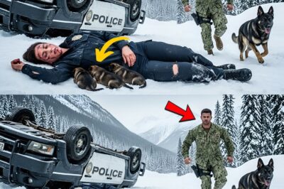 Navy SEAL’s Blizzard Rescue of Handcuffed Officer and Pups Unravels Dark Betrayal in Alaska’s Wilds