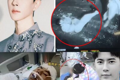Controversial Video Featuring Yu Menglong and Gao Taeyu Surfaces: Fans Claim It Shows Star’s Desperate Fight for Survival Amid Torture Allegations