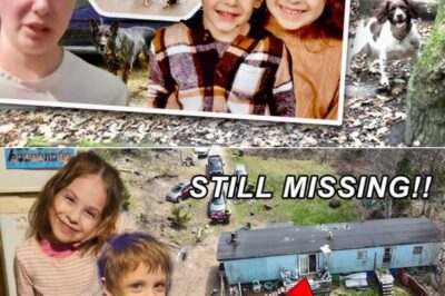 “THEY’RE ALIVE”: Nova Scotia on Edge as RCMP Raids Creepy “Black House” and Whispers Point to Breakthrough in Lily & Jack Sullivan Disappearance