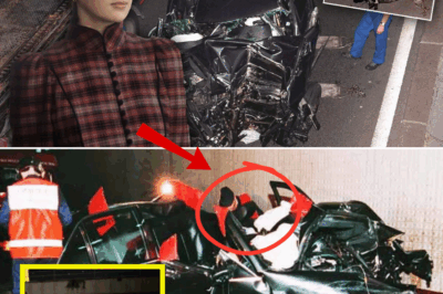 Retired French Officer’s Long-Held Account Raises Questions About Vehicles in Diana’s Final Moments.