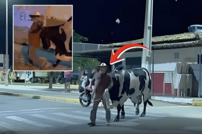 Brazilian Man Blackout Drunk, Wakes Up With a 1-Ton Bull Playing “No Human Left Behind” – Faithful Apolo Refuses to Let His Owner Become Coyote Food 😂💀