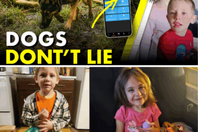 HORROR IN THE TRAILER: Cadaver Dog Handler’s Chilling Confession – Missing Siblings Lily, 6, and Jack, 4, ‘Burned in Fireplace’ Inside Family Home?!