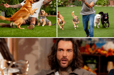 Pete Wicks Bravely Brushes Off Haters’ Howls: ‘I Prefer Dogs to People’ Bombshell Ignites Fury from Trolls, But True Fans Unleash a Tidal Wave of Loyal Love and Viral Defiance!