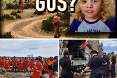 EXPLOSIVE NEW THEORIES ERUPT in the Heart-Wrenching Gus Lamont Vanishing Saga: Cops Stumped with ZERO Fresh Clues After Grueling Month-Long Search for the Adorable 4-Year-Old😱🚨