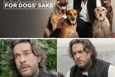 Pete Wicks Returns in ‘For Dogs’ Sake’ Season 2 – Tear-Jerking Rescues, Soul-Stirring Transformations, and the Unbreakable Bonds That Remind Us Why Every Wag Deserves a Forever Family🐶💔