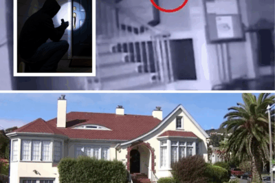Ghostly Footage Nightmare: Cops Reel Through 6 Hours of Empty Frames—Where Did the Killer Vanish in This Doomed SF Family’s Murder?