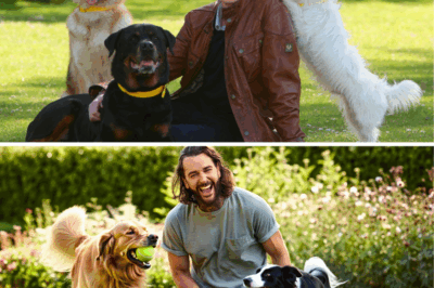 Pete Wicks: The New Dog Whisperer Stealing Hearts – But Is He Poised to Eclipse Paul O’Grady’s Legacy?