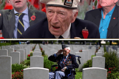 “My Friends Died for THIS?”: Heartbroken 100-Year-Old WWII Hero Breaks Down on Live TV, Declares Victory “NOT Worth It” as Modern Britain Crumbles Under Starmer – What Horrors Made a D-Day Legend Regret Everything? 😱💔