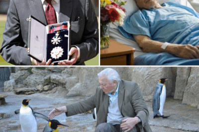 Tears Across the Globe: At 99, Sir David Attenborough’s Gut-Wrenching Confession—”I Fear Becoming Powerless and Forgotten”—Floods Millions with Heartache and Unyielding Love for Our Planet’s Timeless Guardian!!!