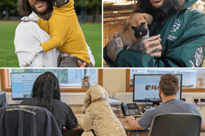 Tiny Pup’s Tear-Jerking Goodbye: The Heart-Melting Act That Stole the Show from Pete Wicks’ Dog Rescue Saga🐶