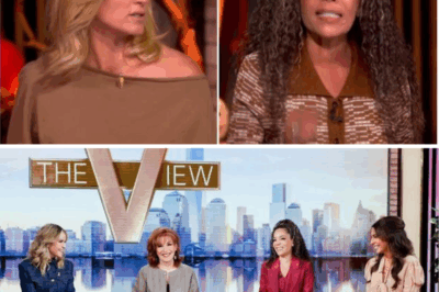 Shocking TV Clash: The View’s Sunny Hostin Labels Pete Hegseth’s Military Fitness Crackdown ‘Totally Bizarre’ – Is She Defending ‘Fat Troops’ or Sabotaging America’s Defenses? You Won’t Believe Her Jaw-Dropping Hypocrisy!