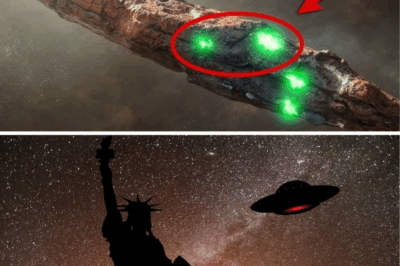 Filmmaker’s Bombshell: UFOs Aren’t a Mystery Anymore – 80 Years of Alien Cover-Up Exposed in Jaw-Dropping Doc!