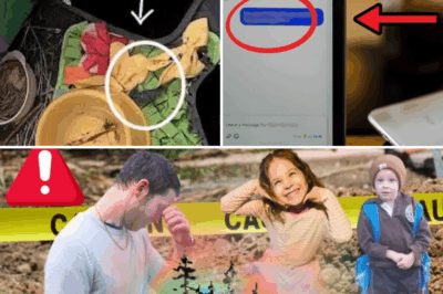 Shocking Sullivan Siblings Bombshell: Chilling Doc Exposes Twisted Clues That Flip the Script on Their Vanishing Nightmare! 😱