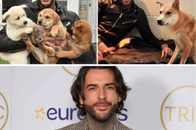 Millionaire’s £5M Doggy Sanctuary Dream: TOWIE Star Pete Wicks Saves 13 Abandoned Slaughterhouse Pups—But One Chilling Whisper Silences the Room and Rewrites Fate Forever!
