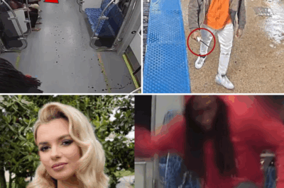😱 TRAIN OF TERROR STRIKES AGAIN: Chicago Psycho Douses Woman in GAS & Lights Her Up – Just Like Iryna’s Knife Nightmare! Who’s Safe on Public Transit? 🔥💀