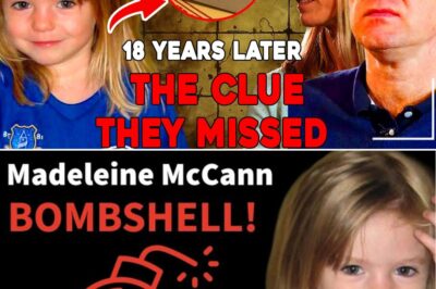 The Buried Well, the Silent Dogs, and the Report Two Nations Refuse to Face: Madeleine McCann, 18 Years Later