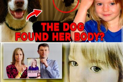Shocking Breakthrough in Madeleine McCann Case: What the Dogs Discovered That Rocked the World