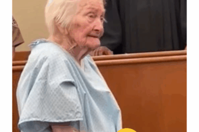 91-Year-Old Helen Miller Faces Grand Theft Charge for Stealing Husband’s Heart Meds – Judge Dismisses Case, Declares “System Failed” in Emotional Courtroom Scene