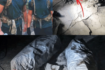 Buried Secrets Unearthed: Missing Hikers’ Fate Revealed in Shocking Discovery After Two-Year Hunt