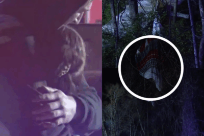 Miracle in Missouri: Pilot and Passenger Escape Fiery Small Plane Crash Without a Scratch – ‘God Had His Hands on Us’