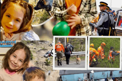 NOVA SCOTIA NIGHTMARE: SCENT TRAILS VANISH AS CADAVER DOGS DRAW BLANK IN DESPERATE HUNT FOR MISSING SIBLINGS LILLY & JACK SULLIVAN
