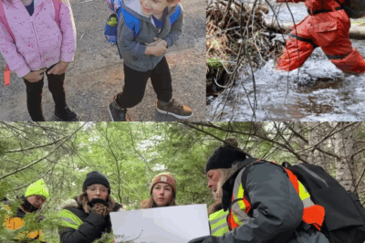 Bones in the Bush: Nova Scotia Volunteers’ Grim Discovery Reignites Fears for Missing Lilly and Jack Sullivan