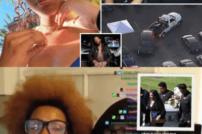 LAPD Investigation into Teen’s Death in Singer D4vd’s Tesla Stalls on Major Charges Amid Concealment Probe