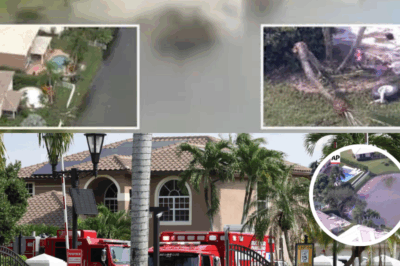 Florida Mercy Flight to Jamaica Crashes in Neighborhood Pond, Claiming Two Lives Amid Hurricane Relief Push