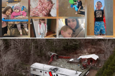 Three Nights, One Shadow: Nova Scotia’s Heart-Wrenching Hunt for Lilly and Jack Ends in Basement Horror – The Truck That Broke the Case Wide Open