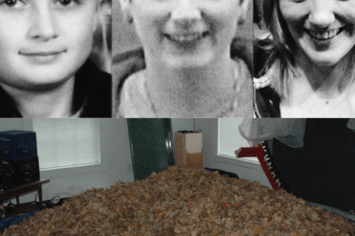 Fifteen Years Later: The Gruesome Howard, Ohio Triple Murder That Shocked a Nation