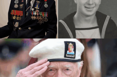 A Veteran’s Cry for Recognition: The Viral Video Stirring a Global Conversation