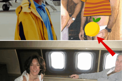 Epstein Victim Drops Jaw-Dropping Detail in Court: “He Had an Egg-Shaped, Extremely Unusual Deformity” – Claimed It Fueled His Obsession with Power and Control