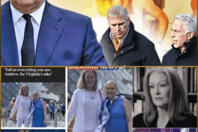 Amy Wallace, Co-Author of Explosive Epstein Memoir ‘Nobody’s Girl,’ Hospitalized After Suspicious Crash Amid Book’s Global Firestorm