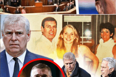 Congress Delivers Fiery Ultimatum to Ex-Prince Andrew: Testify on Epstein Ties by November 20 or Face Leaked “Massage” Payments, Mar-a-Lago Photos, and 2011 “Together” Email in Epic Elite Takedown