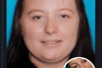 Wexford County Authorities Launch Urgent Search for Missing Pregnant Woman Rebecca Kay Park