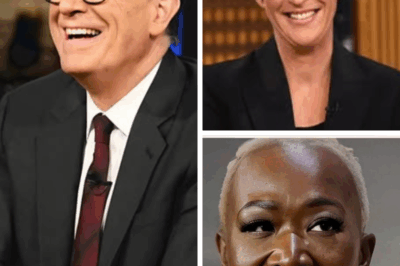 Media titans Maddow, Colbert, and Reid are breaking ranks—ditching scripts and sponsors for unfiltered facts. Is this the spark that reignites trust in news?