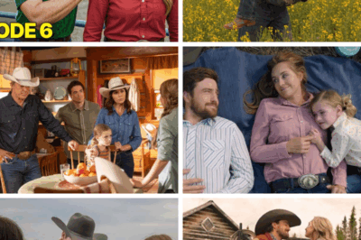 Heartland Season 19 Episode 6 Spotlights Amy’s Crossroads: Career Dreams Meet Personal Stakes