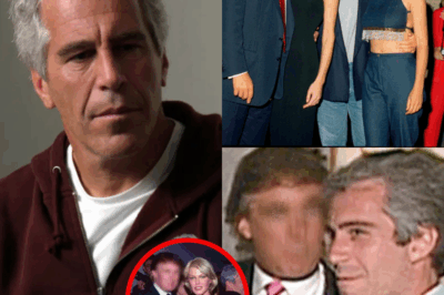 Epstein Emails Ignite Firestorm: Pedophile Financier Claimed Trump Was ‘Regular Visitor’ to His Mansion – But Swore President Never Joined Illicit Parties
