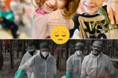 BREAKING: Bodies of Missing Siblings Jack and Lilly Sullivan Found – RCMP Confirms Tragic Discovery in Pictou County Woods