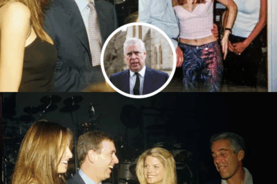 Epstein’s Creepy Praise for Prince Andrew: Pedophile Called Royal ‘Great Fun’ in Davos Emails Urging Pal to Party With Him