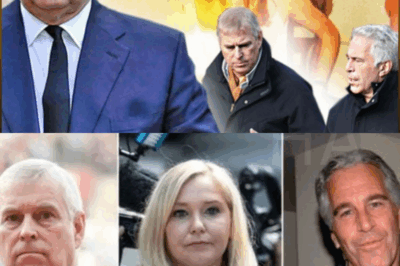 Newly Released Epstein Emails Show Prince Andrew Pleading for Denial of Allegations – House Oversight Committee’s Latest Files Ignite Fresh Scrutiny
