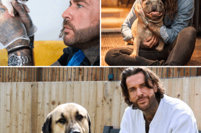🐾 Can’t Miss! Pete Wicks Comes Back With Even More Touching Dogs Trust Stories That Will Warm Your Heart 💖😢