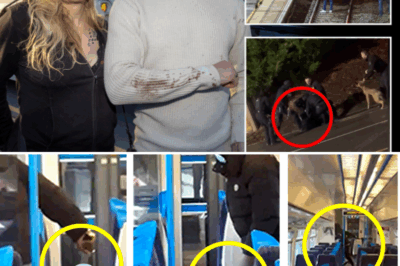 FACE-TO-FACE WITH EVIL 😱 ‘Please Don’t Kill Me!’ — Survivor Tells Terrifying Story of UK Train Maniac Who Looked ‘Possessed’ 🔪👁️