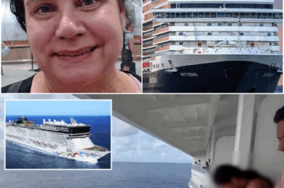 💔 ‘Where Is She?’ — Shocking New Details Emerge in 55-Year-Old Ann Evans’ Disappearance on Holland America Cruise 😢🚢🕵️‍♀️