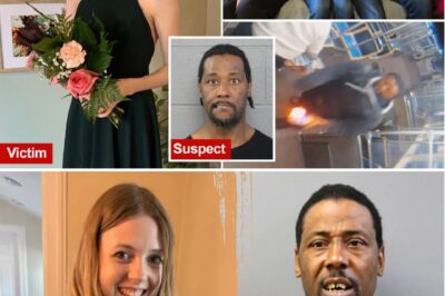 Chicago Train Inferno: 26-Year-Old Bethany MaGee Set Ablaze by Repeat Offender with 72 Arrests, Sparking Fury Over Bail Reform