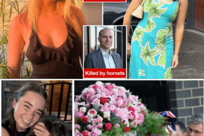 😢🌴 What’s Really Happening in This Tourist Hotspot? 2 Best Friends, an American Teacher & Her Son — All Gone Within Months 💔