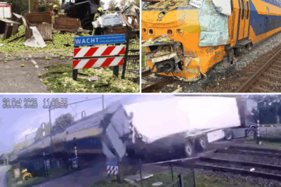 🚂💥 PEAR-POCALYPSE IN THE NETHERLANDS! 🍐 A 140KM/H Train Hits Fruit Truck, Exploding Crates Into the Sky — 400 Passengers Cheat Death